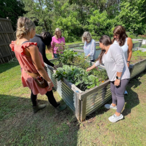 gardening with therapeutic horticulture for holistic health